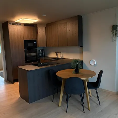 Newly Renovated 4br - Free Parking - Apartamento Stavanger